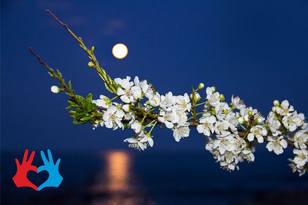 Денежный лунный календарь на апрель 2020 - https://gadanie-test.ru/