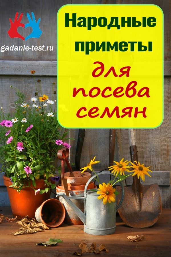 Народные приметы для посева семян
https://gadanie-test.ru/