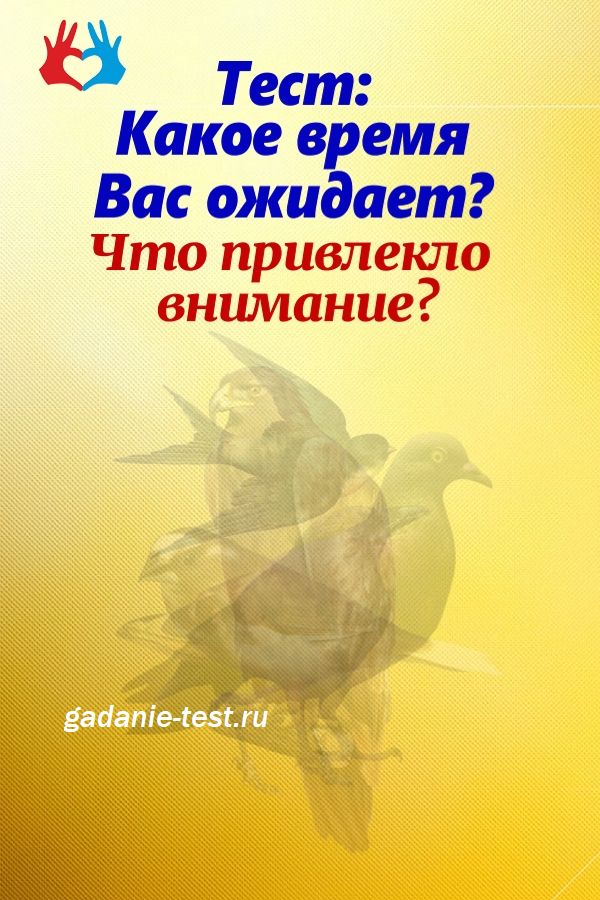 Онлайн тест: Первая птица, которую увидите, расскажет Вам прогноз ближайших событий в Вашей жизни https://gadanie-test.ru/