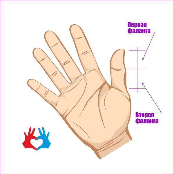 Большой палец руки расскажет о Вас многое - https://gadanie-test.ru/