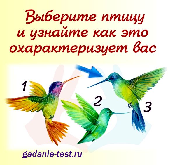 Тест личности - Выберите птицу https://gadanie-test.ru/